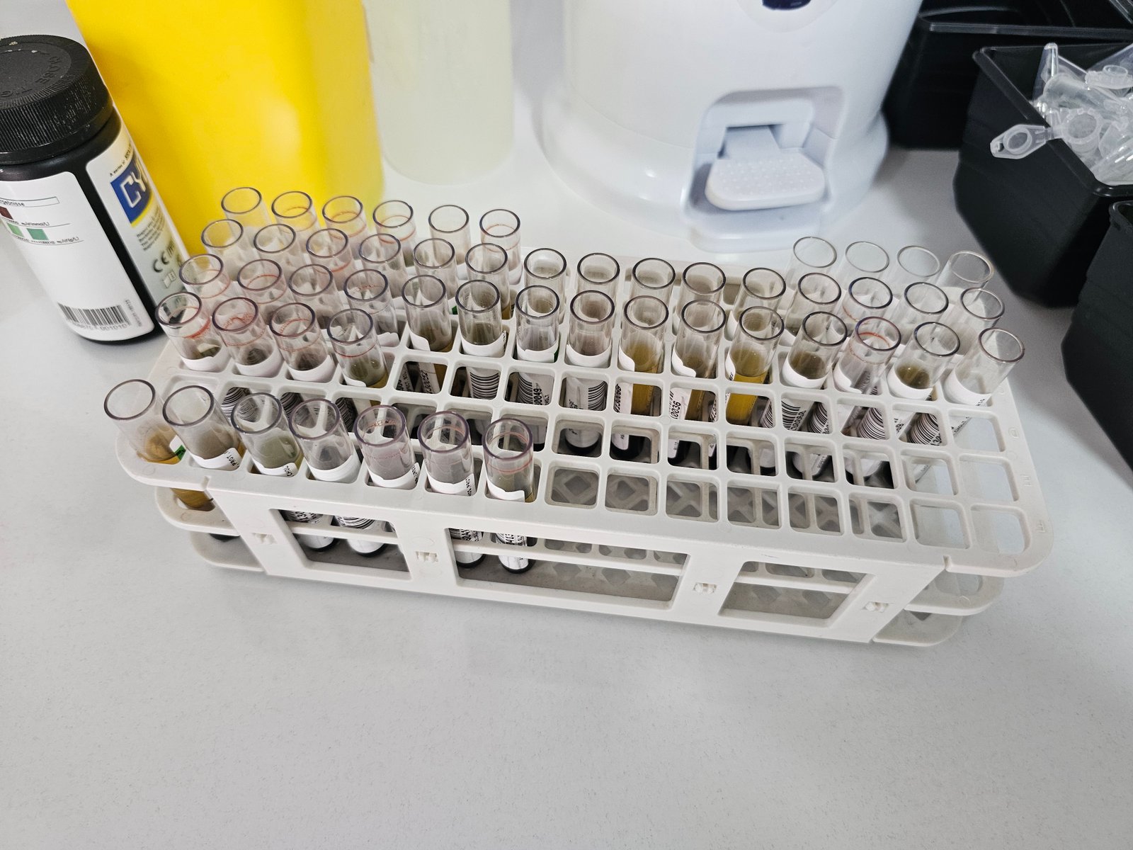 Image pour Laboratoire d’analyses médicales El Atlas